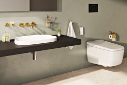 VitrA Frame Tezgahüstü lavabo 5653B401-0016 Tv shape - 55x39 cm - armatür deliksiz - su taşma deliksiz - Clean - mat beyaz - 2