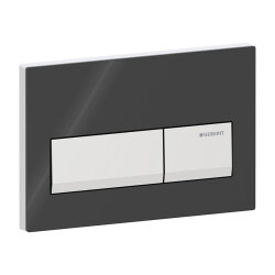Geberit Alpha50 115.060.DW.1 Kumanda Paneli, Çift Basmalı, Siyah, Krom Butonlu - 1
